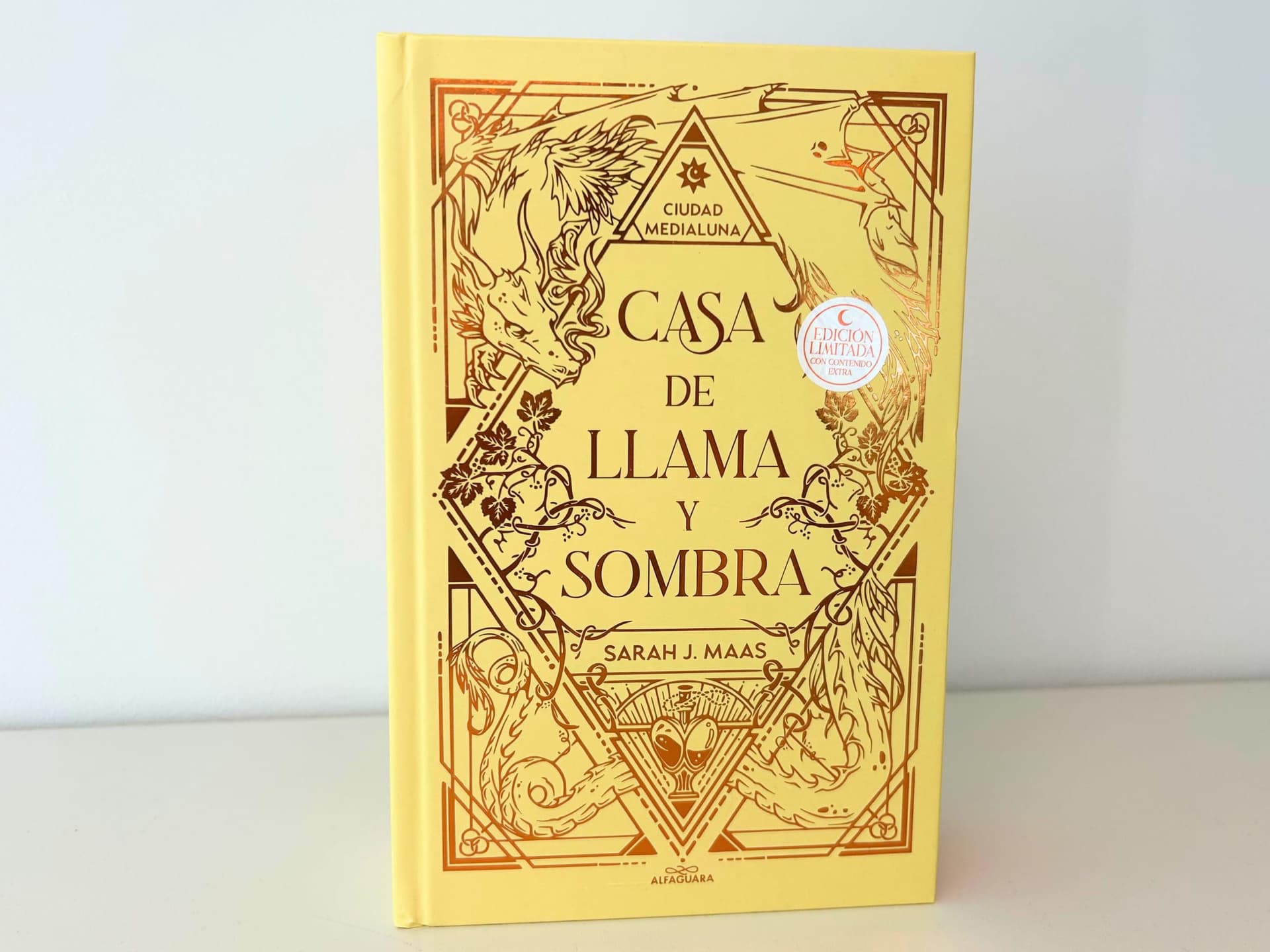Casa de llama y sombra (edición especial limitada) (Ciudad Medialuna 3) thumbnail 2
