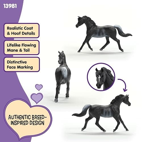 Schleich Horse Club - Rabicano Arabian Stallion Figurine - Pony Figures for Girls and Boys - Toys for Kids Ages 5+ thumbnail 4