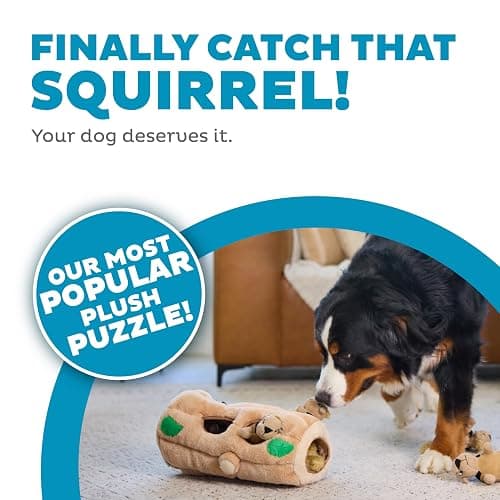 Outward Hound Hide A Squirrel Plush Dog Toy Puzzle, XL thumbnail 2