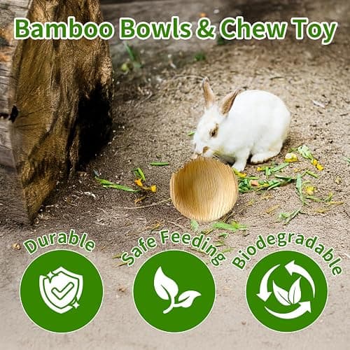 Jiaxix 30 Pcs Disposable Palm Leaf Bowls 4 inch Bowl for Rabbits, Compostable Like Bamboo Bowls Disposable Bowl Bunny Chew Toys Chewable Dish for Rabbits & Bunnies,Small Pets thumbnail 5