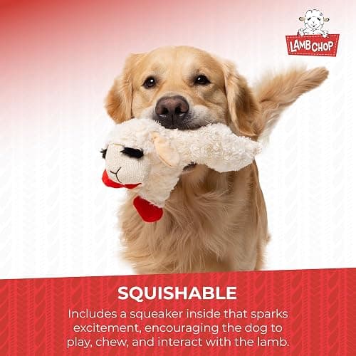 Multipet Mini Lamb Chop Officially Licensed, Plush, Squeak Pet Toy (White, 10') thumbnail 5