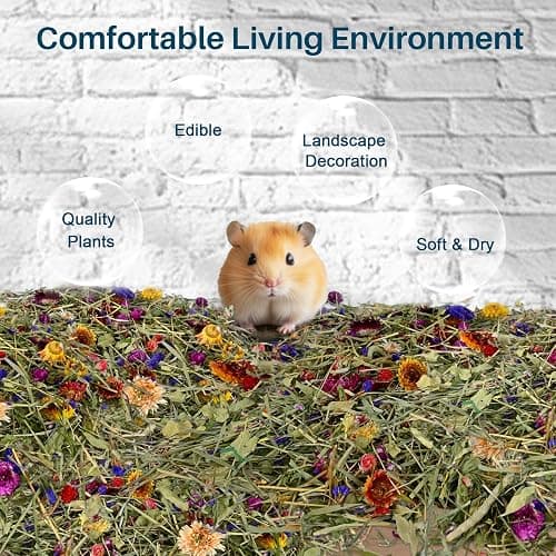 Sukh 150G Hamster Bedding - Flowers & Herbs Odor Control Dwarf Gerbil Robo Katy Habitat Decor Hamster Forage Gerbils Mice Lemmings Degus or Other Small-Sized Pets thumbnail 2