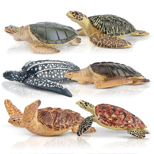 Toymany 6PCS Realistic Sea Turtle Figurines, Plastic Ocean Sea Animals Figures Set Includes of Turtles, Educational Toy Cake Toppers Christmas Birthday Gift for Kids Toddlers thumbnail 9
