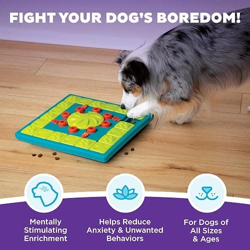 Outward Hound by Nina Ottosson MultiPuzzle – Interactive Dog Treat Puzzle Enrichment Toy, Level 4 Expert thumbnail 2