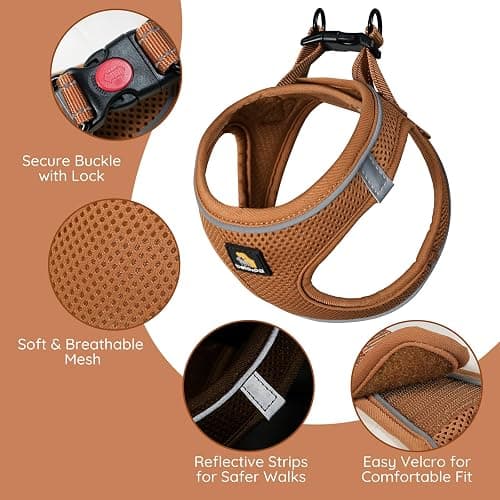 BELLA & PAL Step in Vest Harness for Small and Medium Dogs, No Pull Small Dog Harness with Leash Set, Comfortable Air Mesh Dog Vest Harness with Reflective Strip (Mokka, L) thumbnail 2