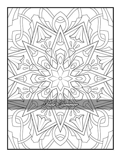 100 Amazing Patterns: An Adult Coloring Book with Fun, Easy, and Relaxing Coloring Pages thumbnail 18