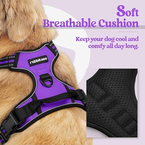 rabbitgoo Dog Harness, No-Pull Pet Harness with 2 Leash Clips, Adjustable Soft Padded Dog Vest, Reflective No-Choke Pet Oxford Vest with Easy Control Handle for Large Dogs, Purple, L thumbnail 2
