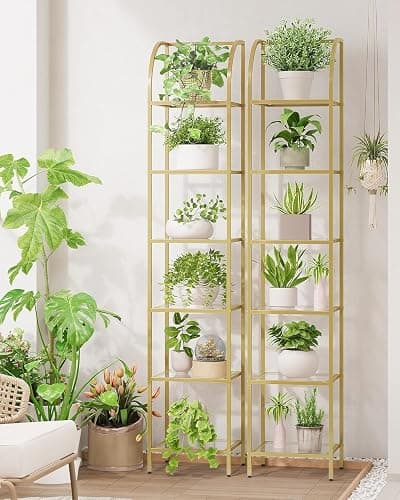 Hzuaneri Bookcase Bookshelf, Tempered Glass Arched Bookshelf for More Storage, Slim Shelving Unit for Bedroom, Bathroom, Home Office, Steel Frame, 6 Tier Gold BC20699G thumbnail 3