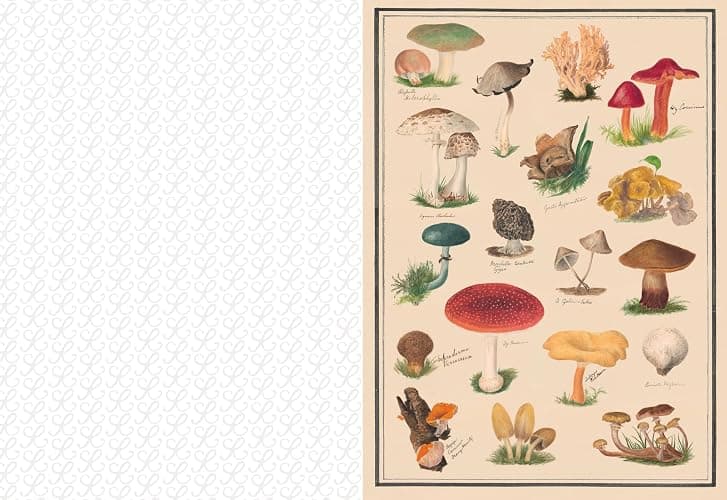 The Collage Compendium: 2,000 Images to Cut Out & Collage thumbnail 5