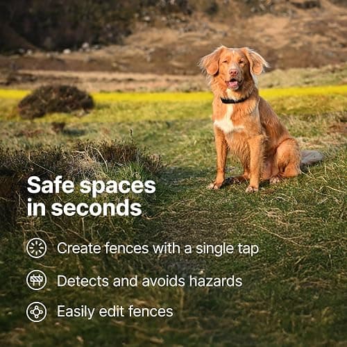 Halo Collar 5, New Wireless Dog Fence & GPS Dog Collar, Subscription Required, Waterproof, Blaze, One Size thumbnail 4