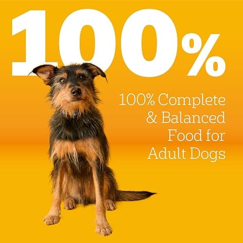 Pedigree Adult Dry Dog Food, Complete Nutrition, Grilled Steak & Vegetable Flavor, 18 lb. Bag thumbnail 3