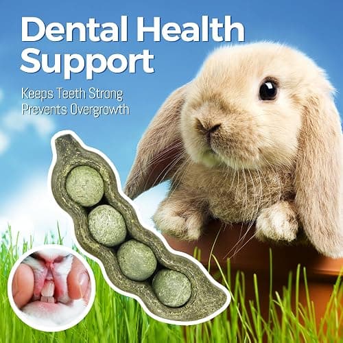 TEEWY Guinea Pig Toys, Prevent Teeth Overgrowth, Natural Vegetables and Timothy Grass, Hamster Chew Toys, Guinea Pig Chew Toys, Chinchilla Toys, 3PCS, Peapod-Shaped thumbnail 3