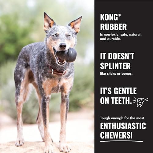 KONG - Extreme Goodie Bone Most Durable Natural Rubber Dog Bone for Power Chewers - Black - for Extra Large Dogs thumbnail 4