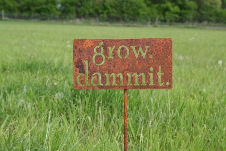 Grow. Dammit. Metal Garden Stake 20 to 28 Inches Tall (Small 20", Naturally Rusted) thumbnail 8
