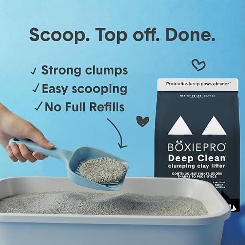 Boxie Probiotic Cat Litter, 40 Day Odor Control, Clumping Clay Kitty Litter, Odor Eliminating Probiotics, Dust-Free, No Fragrances No Fillers, 28 lb thumbnail 5