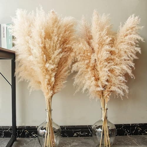 46" inch 10 Stems Natural Pampas Grass Decor Tall, Pompas Grass, Tall Pampas Grass for Weddingm, Farmhouse, Boho Home Decor (Beige) thumbnail 6