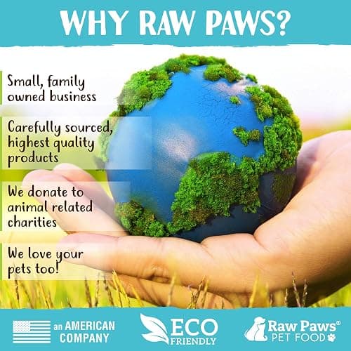 Raw Paws Silvervine Sticks for Cats (30-Count) - Dental Cat Chew Stick | Catnip Alternative - Matatabi Cat Toy - Silver Vine Sticks - Indoor Cat Enrichment & Chewing thumbnail 6