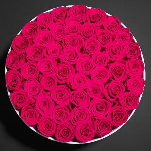 50 Piece Roses in a Velvet Box, Flowers for Delivery, Presereved Flowers Birthday Gifts for Women Mom and Wife (Radiant Pink) thumbnail 5