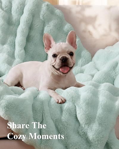 blunique Ultra Soft Cozy Faux Fur Throw Blanket, Fuzzy Plush Thick Bubble Blanket, Oversize Luxury Fluffy Blanket for Couch, Sofa, Bedroom, and Living Room,50x60 Inches, Misty Blue thumbnail 3