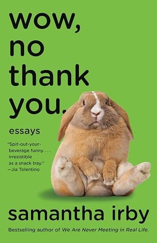 Wow, No Thank You.: Essays (Lambda Literary Award) - Image 1