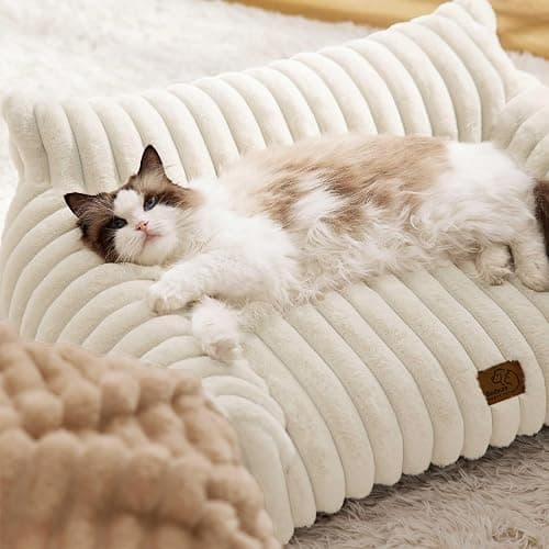 Bedsure ComfyFleece® Shown on TV Fluffy Cute Dog Couch for Pets,30in Cream | Small & Medium Dog Bed Washable Cover,Supportive Couch Bed for Small Dogs,Pet Sofa Seen on Good Day New York,Up to 20 Lbs thumbnail 8