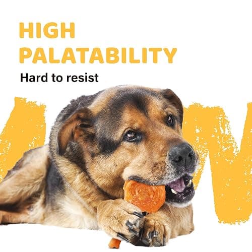 iPaw Turkey Tendons for Dogs 40 Pcs Bulk Pack, 100% Turkey and US Sourced Raw Material, Hypoallergenic, All Natural Human Grade Puppy Chew, Rawhide Alternative Dog Treats, Lollipop (Small) thumbnail 4
