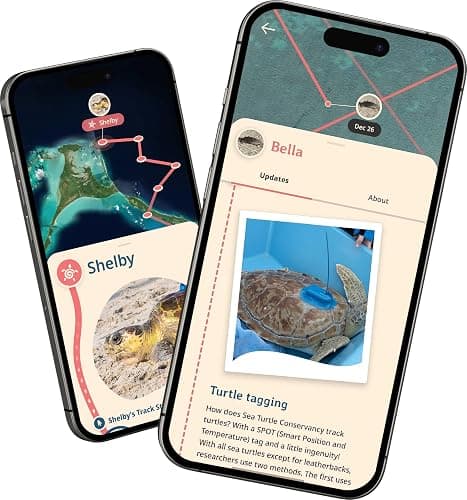 Fahlo Sea Turtle Tracking Bracelet – Track a Real Sea Turtle's Journey – Supports Wildlife Conservation – Elastic – on Interactive Mobile App Map – Unisex Ocean Conservation Gift thumbnail 8