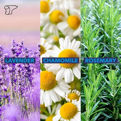 TheraICE Soothing Head Stick 10 ml (.33-Oz) Essential Oil Roll on Aromatherapy: Peppermint, Spearmint, Lavender, Chamomile, Rosemary, Eucalyptus. Metal Roller. USA Made thumbnail 5