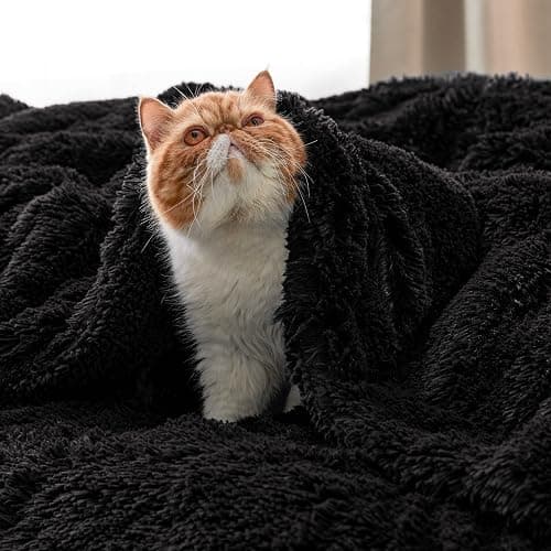 Bedsure GentleSoft Fluffy Black Blankets Queen Size for Bed, Thick Sherpa Faux Fur Fleece Fuzzy Plush Winter Warm Soft Full Queen Blankets, Bedroom Decor Black Gifts Cozy Gifts for Women Men, 90x90 thumbnail 9