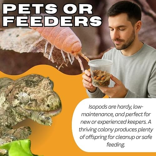 10 Mega Mix Isopods | 8oz Coco Temperate Springtails | Live Arrival Nationwide! thumbnail 7