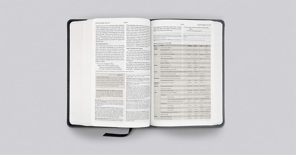 ESV Student Study Bible (TruTone, Navy/Slate, Timeless Design) thumbnail 3