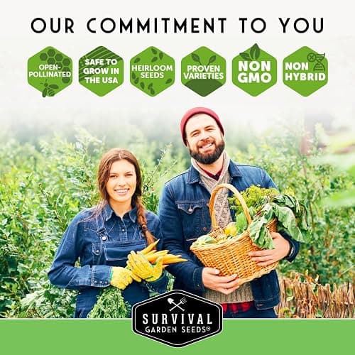 Fruit Seeds for Planting 8 Variety Pack - Non-GMO Heirloom Fruits | Watermelon, Cantaloupe, Melon, Strawberry, Ground Cherry for Home Vegetable Gardens - Survival Garden Seeds thumbnail 7
