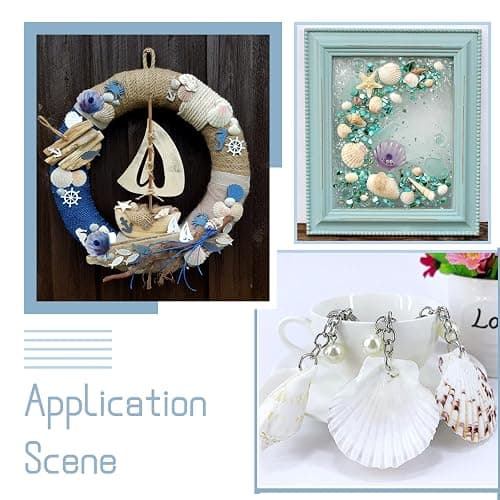 KISSITTY 500 Grams Dyed Scallop Beach Sea Shell Beads with Holes 1.53-1.77" (39-45mm) Length for DIY Jewelry Making Art Craft Projects-Bag of Approx. 90pcs - Mixed Colors#Shell Shape thumbnail 5