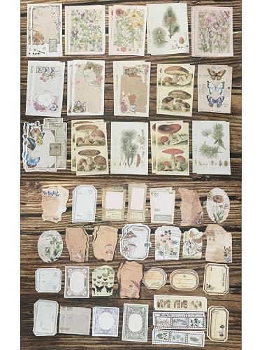200PCS Vintage Scrapbooking Supplies Kit for Journaling, Scrapbook Sticker Paper Pack for for Bullet Journals Junk Journal Planners Aesthetic Cottagecore Room Decor Wall Art Collage Album (Nature) thumbnail 5