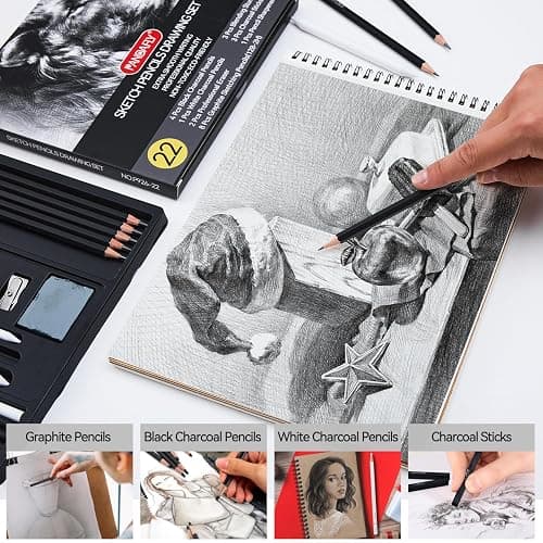 PANDAFLY Drawing Sketching Pencil Set, 22 Piece Pro Art Pencil Kit - Graphite Pencils (12B-2H), Black and White Charcoal Pencils, Charcoal Sticks, Stumps, Eraser, Sharpeners thumbnail 5