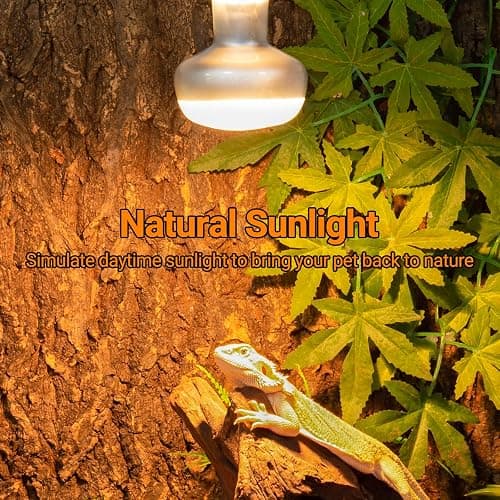 REPTI ZOO 2 Pack Heat Lamp 75W, Intense Basking Spot Simulated Natural Sunlight Heating Lamp Bulb, Heat Emitter UVA Heat Lamp Bulb for Reptile Chickens Pet Brooder thumbnail 2