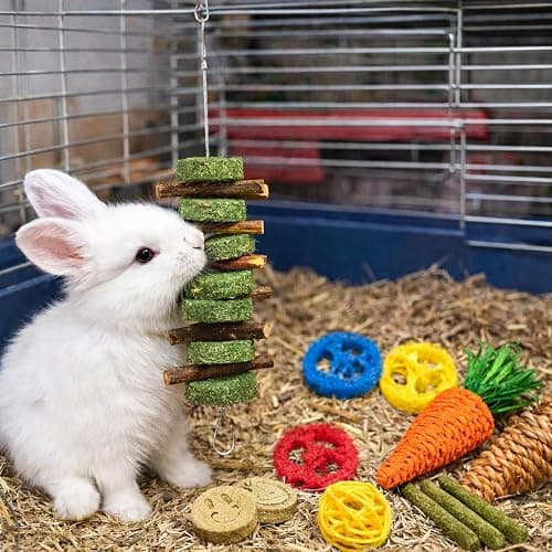 Grddaef 20 PCS Bunny Chew Toys for Teeth, Natural Rabbit Toys Apple Wood Grass Timothy Sticks Chew and Treat for Guinea Pigs Hamster Chinchillas thumbnail 5