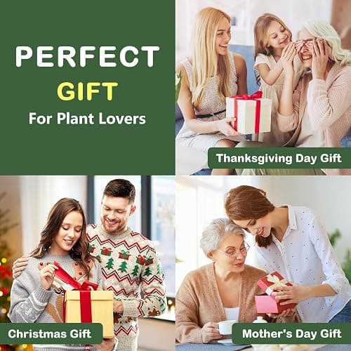 LUOJIBIE Bonsai Tree Kit, Complete Bonzai Tree Starter Kits with Tools, Unique Christmas Birthday DIY Gardening Gifts for Women Mom Men Grandkids, Crafts Hobby Kits, Grow Bonsai Tree Live Indoor thumbnail 6
