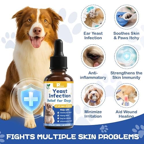 Yeast Infection Treatment for Dog, Natural Dog Yeast Infection Relief for Itchy Skin & Ear - Allergy & Paw Itching, Soothes Irritation & Reduces Inflammation Herbal Dog Supplement Drops thumbnail 3