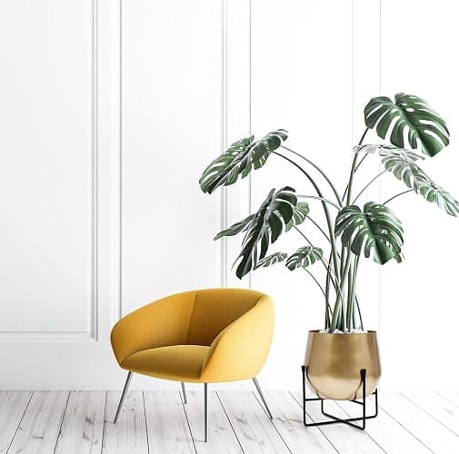 Olly & Rose XL Gold Plant Stand with Plant Pot 28cm 11 Inch - Metal Plant Pots Indoor Planter Large Flower Pot… thumbnail 5