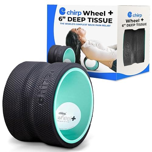 Chirp Wheel Foam Roller - Targeted Back & Neck Pain Relief, Muscle Massage, Trigger Point Therapy, High-Density Foam Tool for Physical Therapy, Stretching & Exercise, 500lbs Capacity, 6 Inch Mint - Image 1