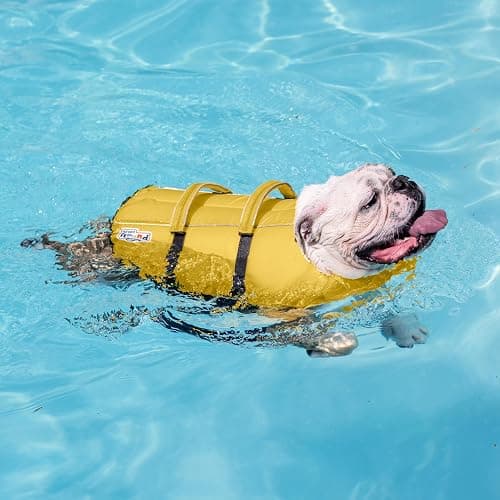 Outward Hound Granby Splash Dog Life Jacket, Life Vest, Yellow, Large | Max Buoyancy, Adjustable Fit, Head/Neck Support, Rescue Handle, Reflective, Swimming & Boating, Large Dogs (28–32" Girth) thumbnail 6
