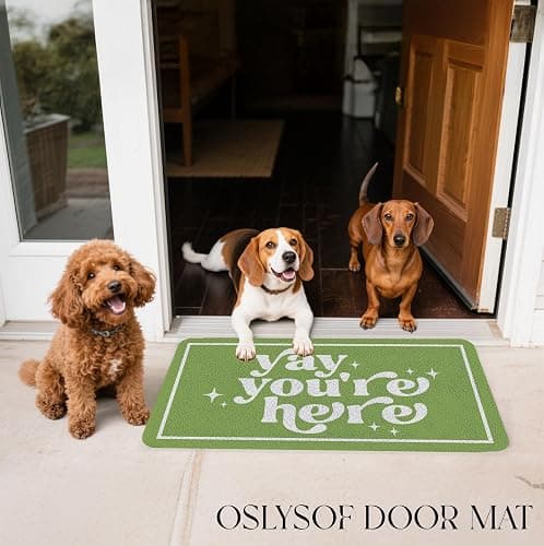 OSLYSOF Funny Green Door Mat, Yay You're Here Doormat for Front Door Indoor Outdoor Porch Entrance Entryway, Funny Welcome Mat Outside, 17x30 Inches thumbnail 6