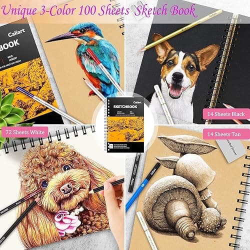 Caliart 176PCS Art Supplies Sketching Kit, 100 Sheets 3-Color Sketch Book | Graphite Colored Charcoal Watercolor & Metallic Pencils, Drawing Supplies Set Gifts for Artists Adults Teens Girls Boys Kids thumbnail 3