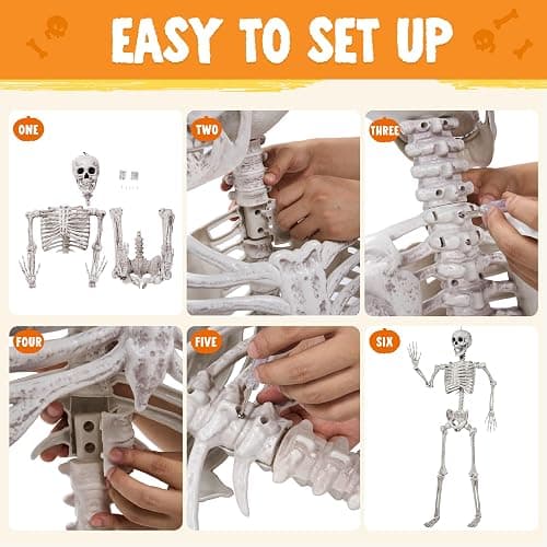 JOYIN 5.6 FT Halloween Posable Life Size Skeleton Full Body Realistic Bones with Movable Joints for Halloween Indoor and Outdoor Decoration Props Spooky Scene Party Decorations (White) thumbnail 7
