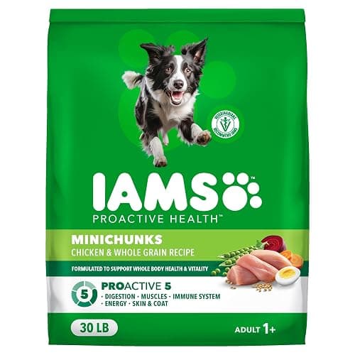 IAMS Proactive Health Adult Minichunks Premium Dry Dog Food, Adult Dog Food Dry Recipe, 30 lb. Bag - Image 1