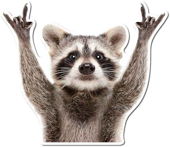 Rocking Raccoon Sticker, Funny Raccoon Cute Car Decal 5.5-Inches Decal Car Laptop Wall Window Bumper Sticker AWPS109 - Image 1