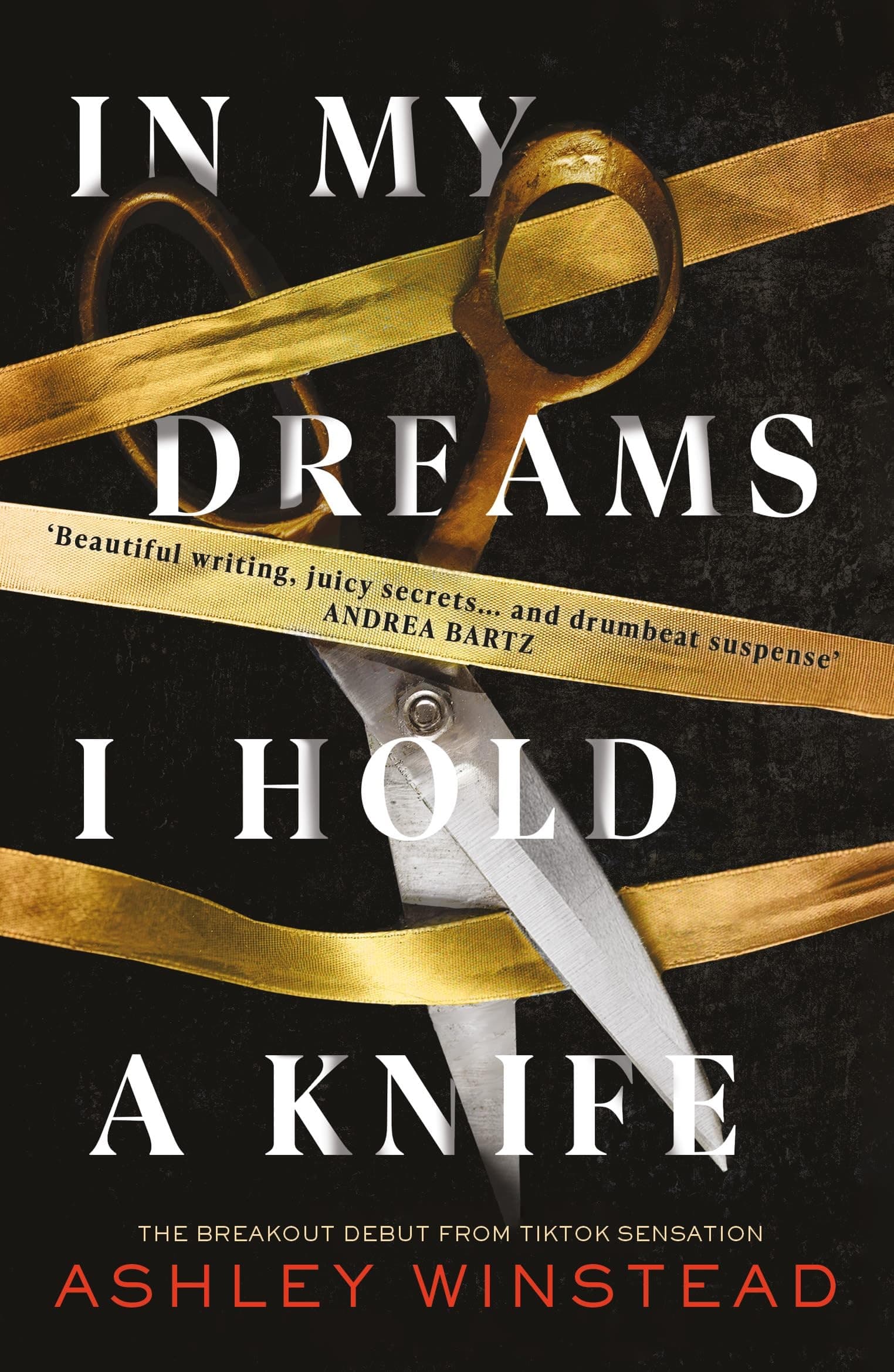 In My Dreams I Hold a Knife: TikTok made me buy it! The breakout dark academia thriller everyone's talking about - Image 1