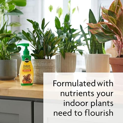 Miracle-Gro Indoor Plant Food, Liquid Plant Food for Houseplants, Snake Plants, Peace Lilies, Flowers, Vegetables, Herbs and More, 8 oz., 2-Pack thumbnail 5