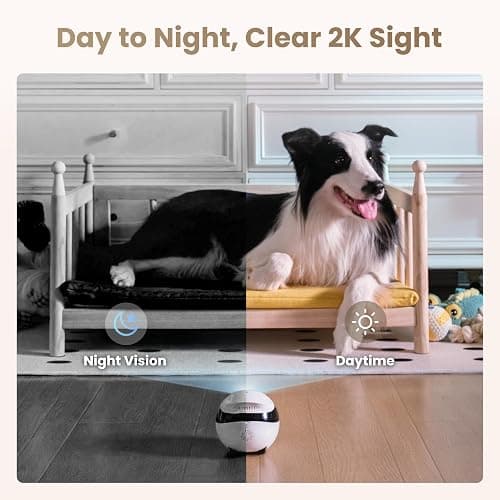 Enabot EBO FamilyBot Home Camera Robot EBO Air 2: 2K Movable Pet Camera, Indoor Robot Companion, Custom Facial Expression, Auto-Recharge, Battery-Operated, 2-Way Talk, Night Vision(Jay Blue) thumbnail 4